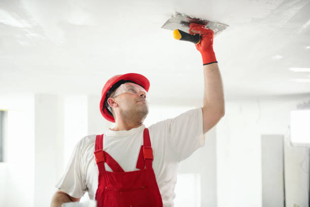 Best Repainting for Renovations  in Laguna Hills, CA